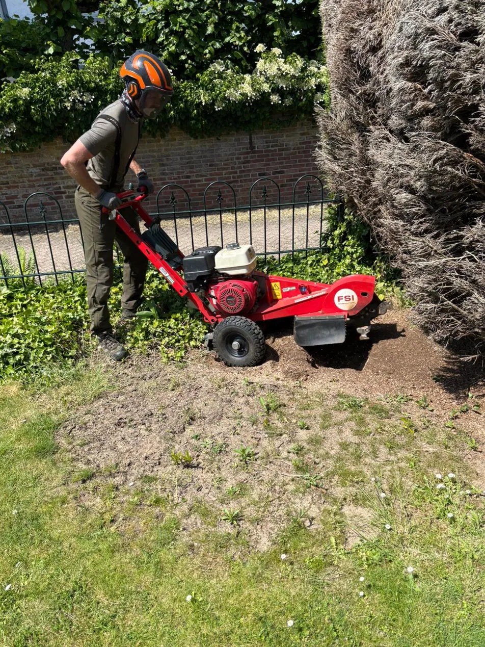 Stronken frezen met freesmachine – Sonnemans Boomverzorging Zuid-Limburg