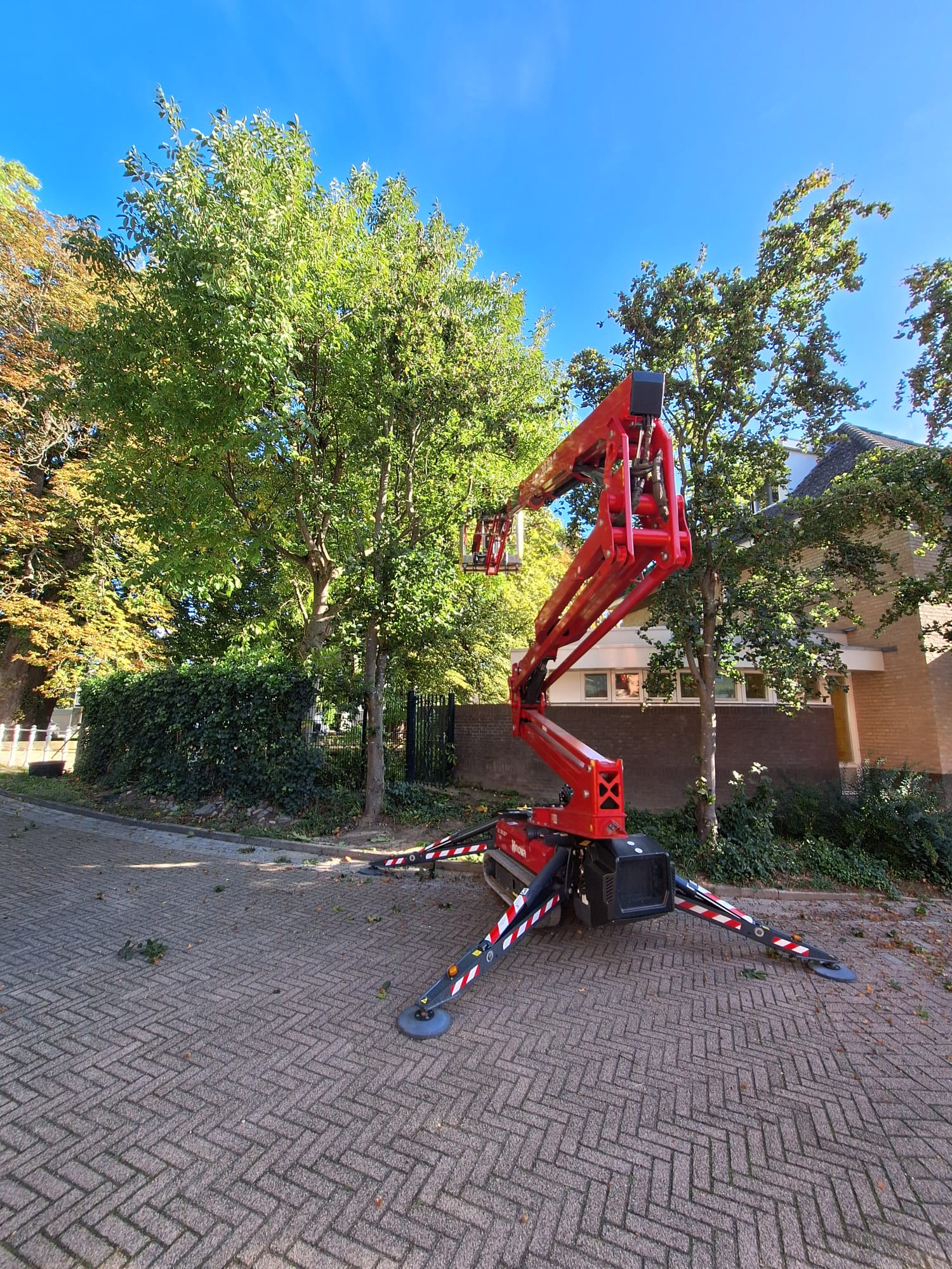 Boomverzorger snoeit zuilbeuken met hoogwerker in Valkenburg - Sonnemans Boomverzorging